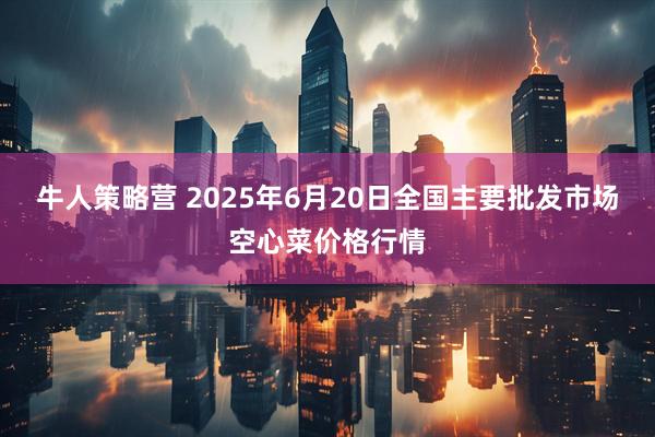 牛人策略营 2025年6月20日全国主要批发市场空心菜价格行情