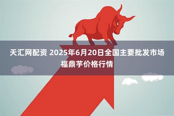 天汇网配资 2025年6月20日全国主要批发市场福鼎芋价格行情