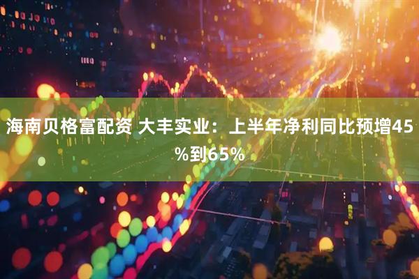 海南贝格富配资 大丰实业:上半年净利同比预增45%到65%