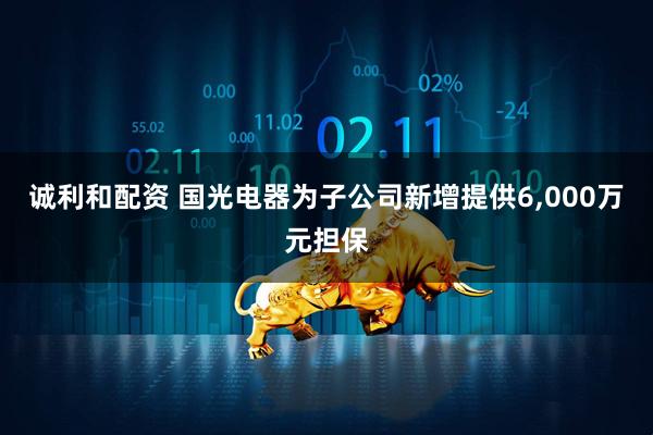 诚利和配资 国光电器为子公司新增提供6,000万元担保
