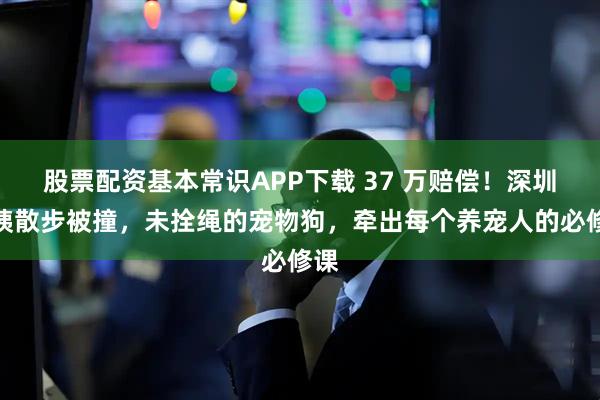股票配资基本常识APP下载 37 万赔偿！深圳阿姨散步被撞，未拴绳的宠物狗，牵出每个养宠人的必修课