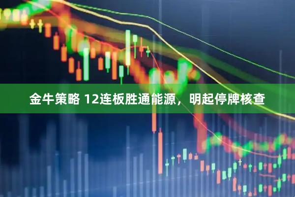 金牛策略 12连板胜通能源，明起停牌核查