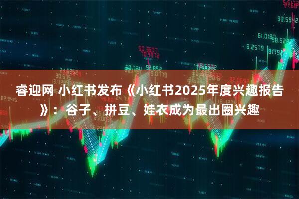 睿迎网 小红书发布《小红书2025年度兴趣报告》:谷子、拼豆、娃衣成为最出圈兴趣
